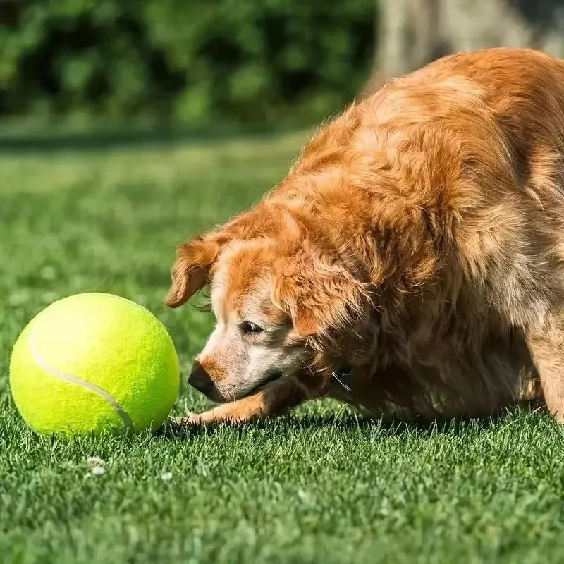 7/9.5Inch Giant Tennis Ball Pet Inflatable Toy for Dog Training Ball 24Cm Large Tennis Ball with Air Pump Interactive Dog Toys