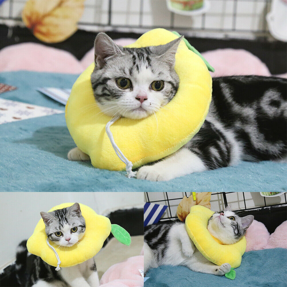 Adjustable Pet Neck Cone Recovery Pet Cat Recovery Collar Cat Soft Lemon Neck Cone Adjustable Pet E Collar After Surgery, Wound Healing Protective Cat Elizabethan Collar For Kitten & Puppy
