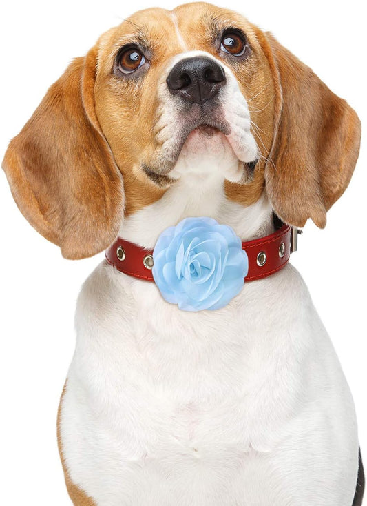 4 Pieces Dog Flower Bow Collar Multicolored Pet Bow Collar Dog Charms Flower Set for Puppy Cat Pet Grooming Accessories(White, Peach Pink, Sky Blue, Flesh Pink)